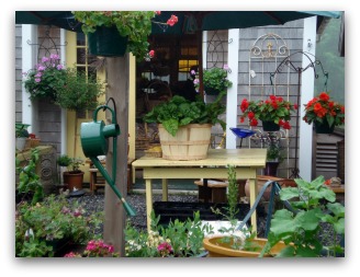 ornamental container garden with flowers