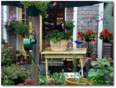 patio container gardens