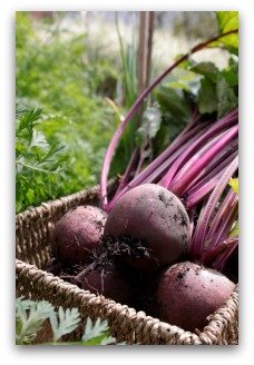Delicious Beets from the Garden