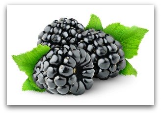 Freshly Picked Blackberries from the Garden