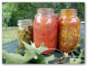 canning green beans