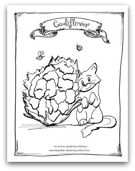 Printable Cauliflower Coloring Page
