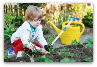 helping plant a small vegetable garden