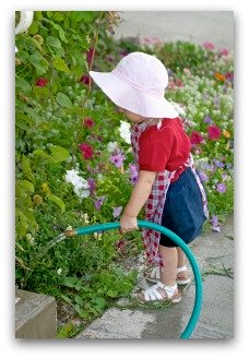 watering a small vegetable garden