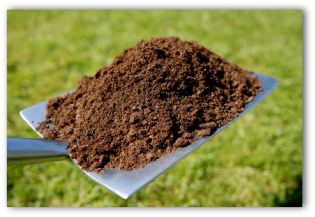 compost bin designs