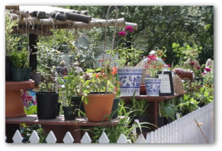 container garden designs