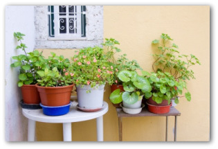 container garden designs