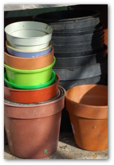 container garden ideas