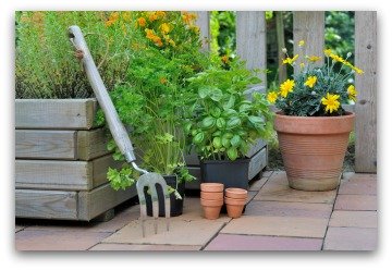Raised Bed and Container Garden
