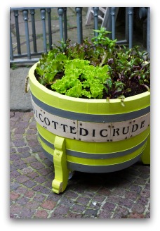 fun container vegetable garden idea