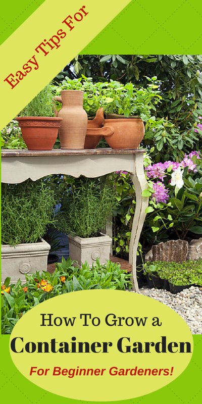 Container Vegetable Garden Plans and Ideas