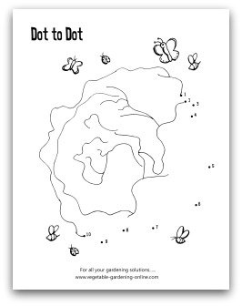garden lettuce dot-to-dot printable