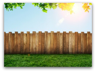 cheap garden fence ideas
