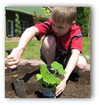 first vegetable garden