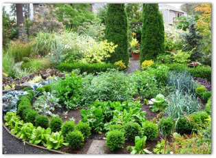 free garden layout designs