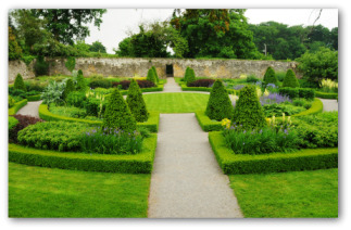 box hedge garden design