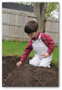 little boy planting garden seeds