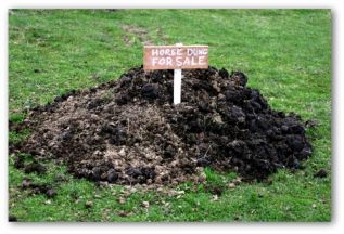 garden fertilizer