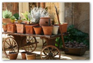 gardening in pots