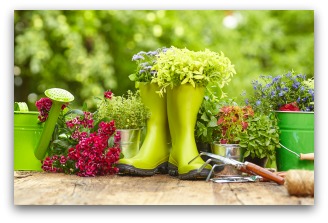 spring vegetable garden tips