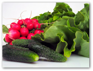 Cucumbers, lettuce and radishes for a salad