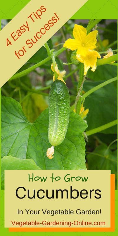 Cucumber Growth Chart