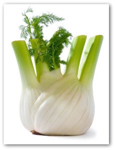 growing fennel