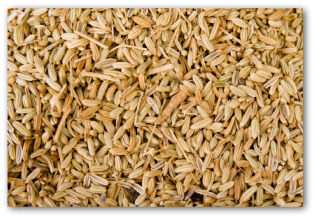 fennel seed
