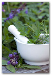 growing herbs