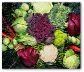 Brassica family of vegetables