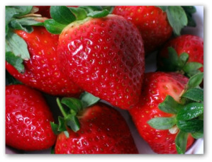 Fresh Ripe Strawberries from the Garden