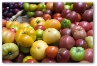 heirloom tomato varieties including Cherokee Purple