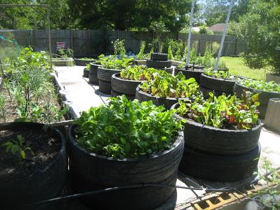 Recycled Tire Garden Ideas