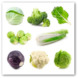 Brassica family of vegetables