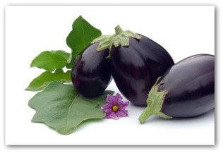 fresh eggplants and leaves