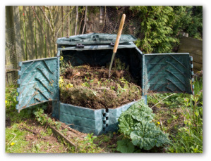 compost bin in a garden
