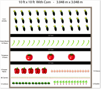 Free ten by ten garden plan including corn