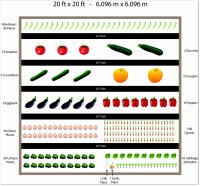free 20 x 20 vegetable garden plan