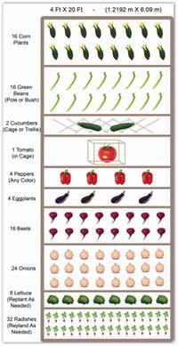 Sample Garden Layout Domaregroup