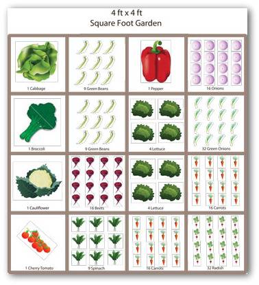 Square Foot Gardening Planting Chart Pdf