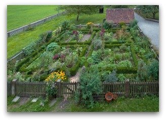 rectangular knot garden design