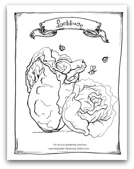 Printable Lettuce Coloring Page