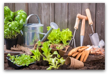 Ready to Plant a Squarefoot Garden