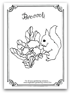 Broccoli Coloring Page Printable