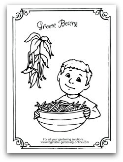 Garden Green Bean Printable Coloring Page