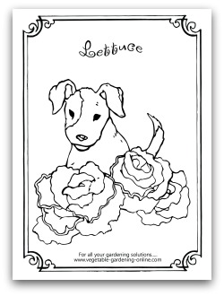 vegetable garden coloring pages for kids - photo #45