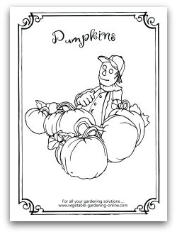 Scarecrow and Pumpkins Printable Coloring Page