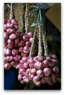 how to store onions by braiding