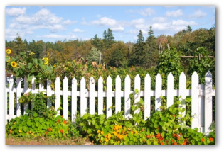 white wooden picket  garden fence
