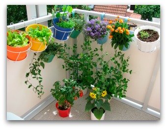 Colorful Balcony Container Garden